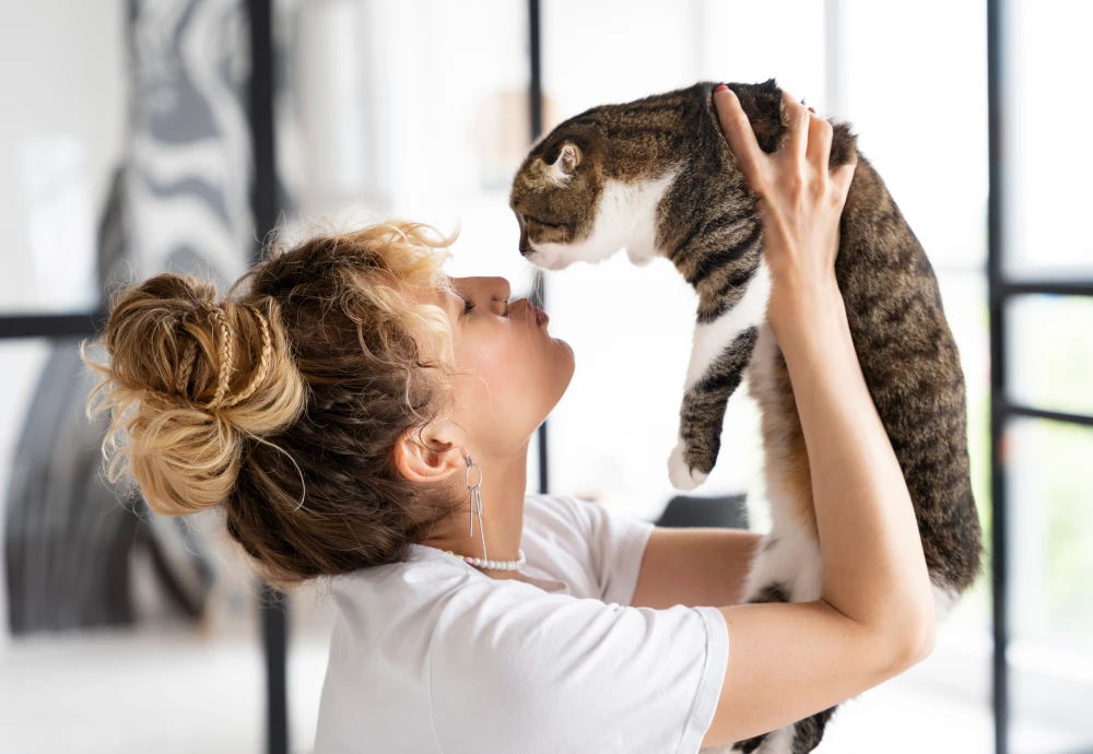 video camera for pets